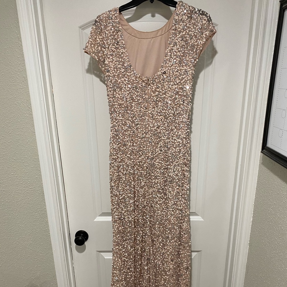 Adrianna Papell Evening Gown